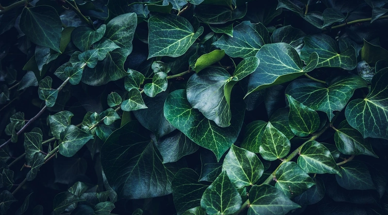 건설업계의 새로운 시작