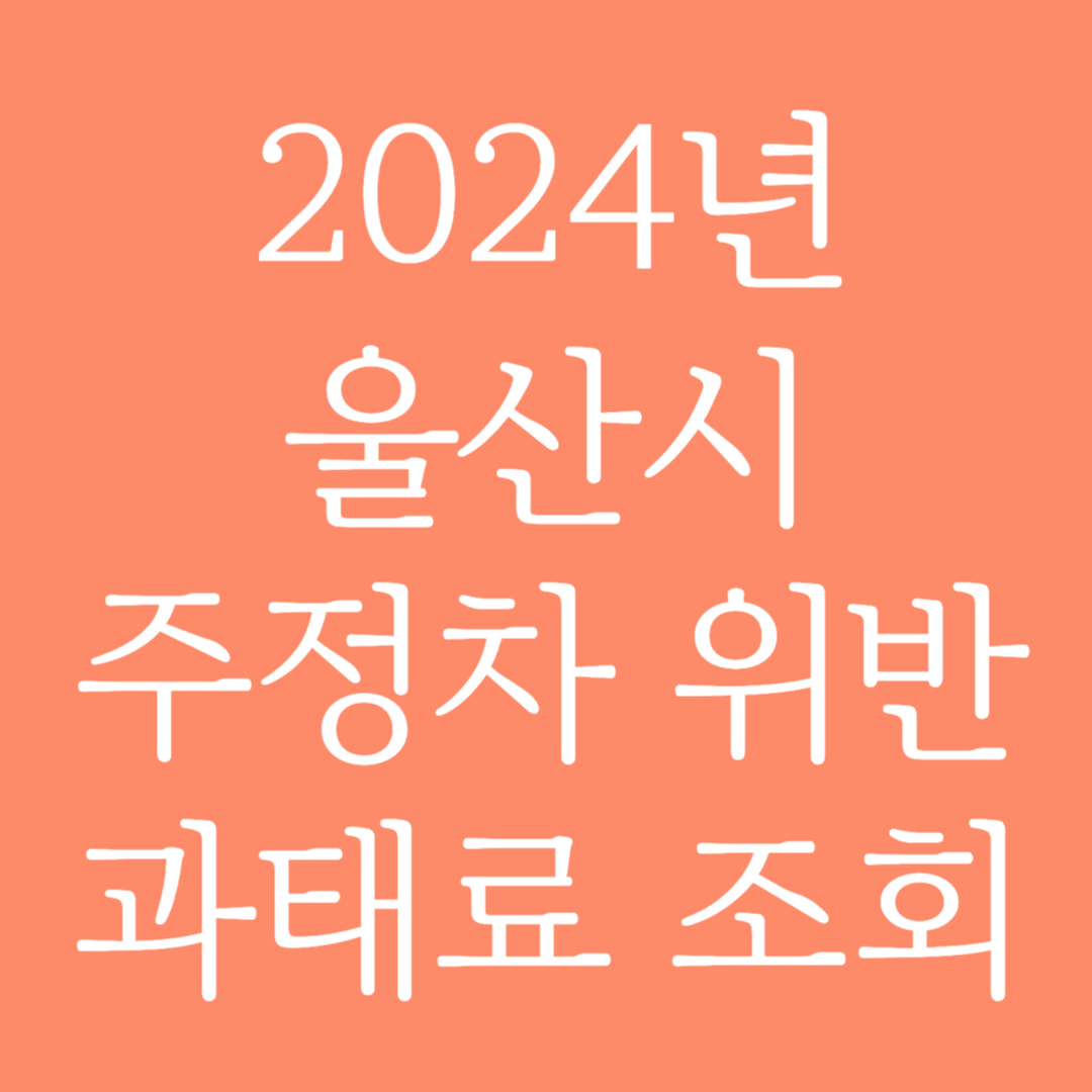 2024년 울산시 주정차 위반 과태료 조회하기
