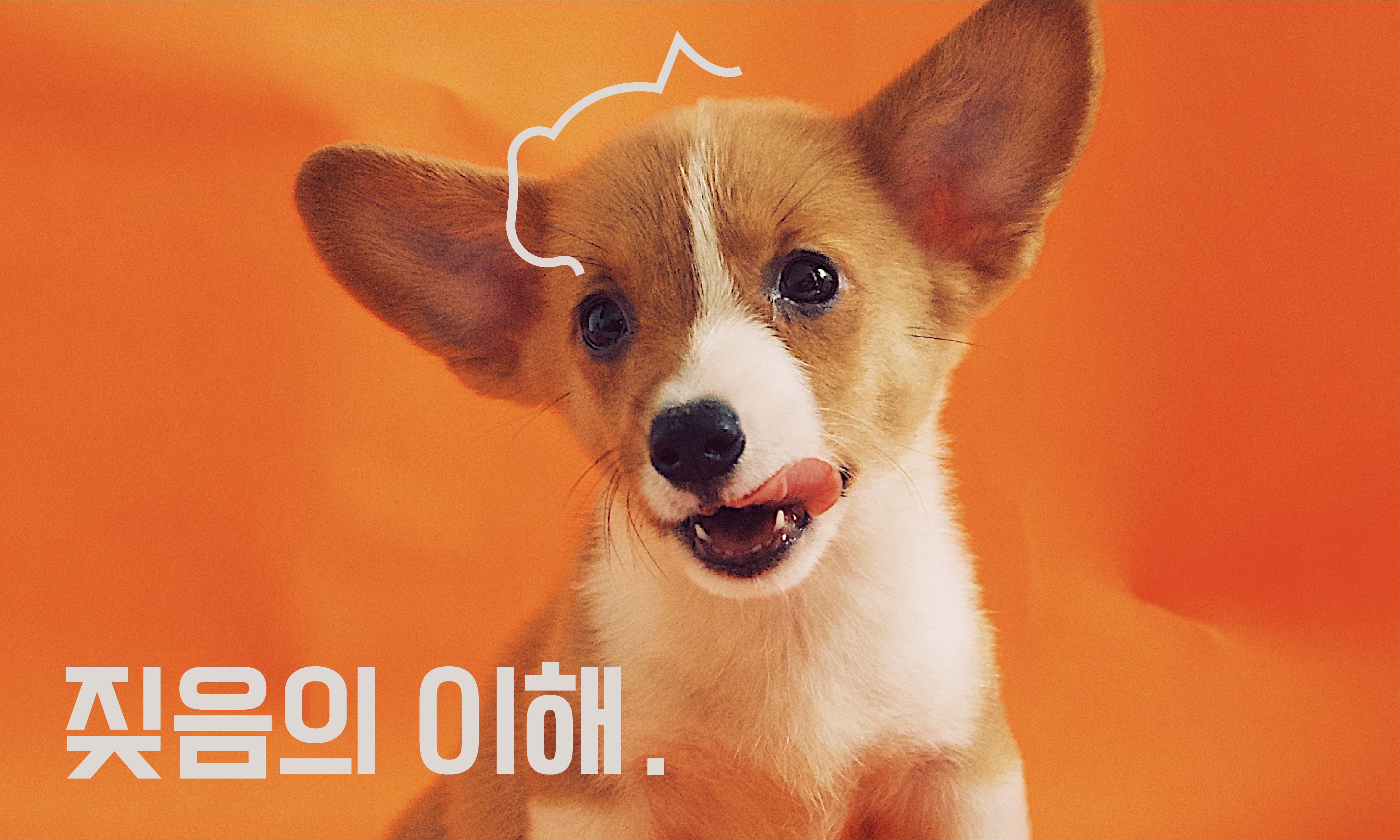 강아지-짖음