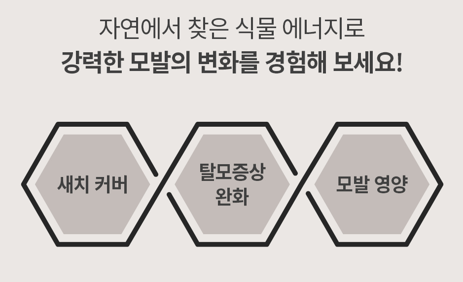 보타랩 염색샴푸 효과,보타랩 데저티콜라 블랙 헤어 케어(Botalab Deserticola Black Hair Care Set)