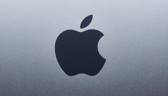 애플 이미지 사진