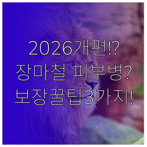 2026년 펫보험 개편 내용과 장마철..