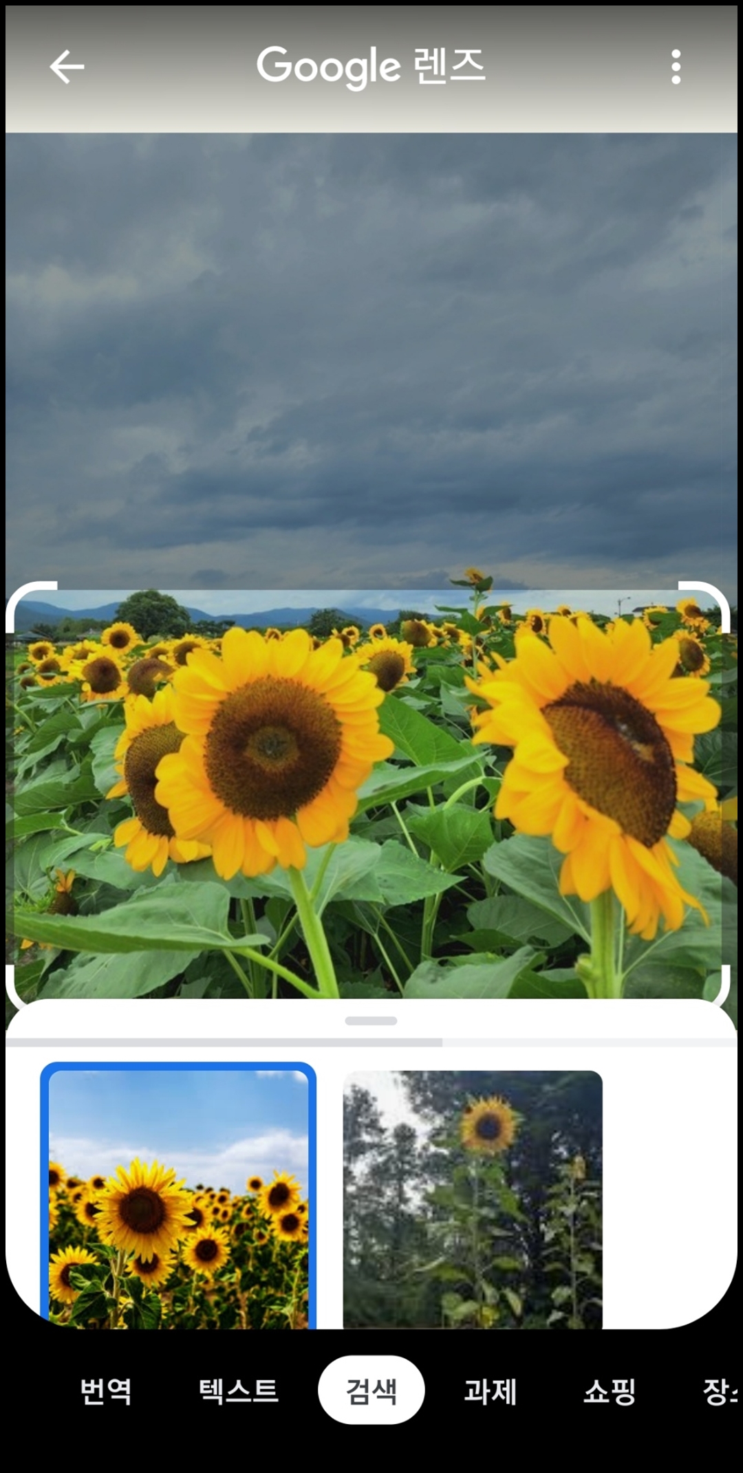 꽃 이름 검색 시작