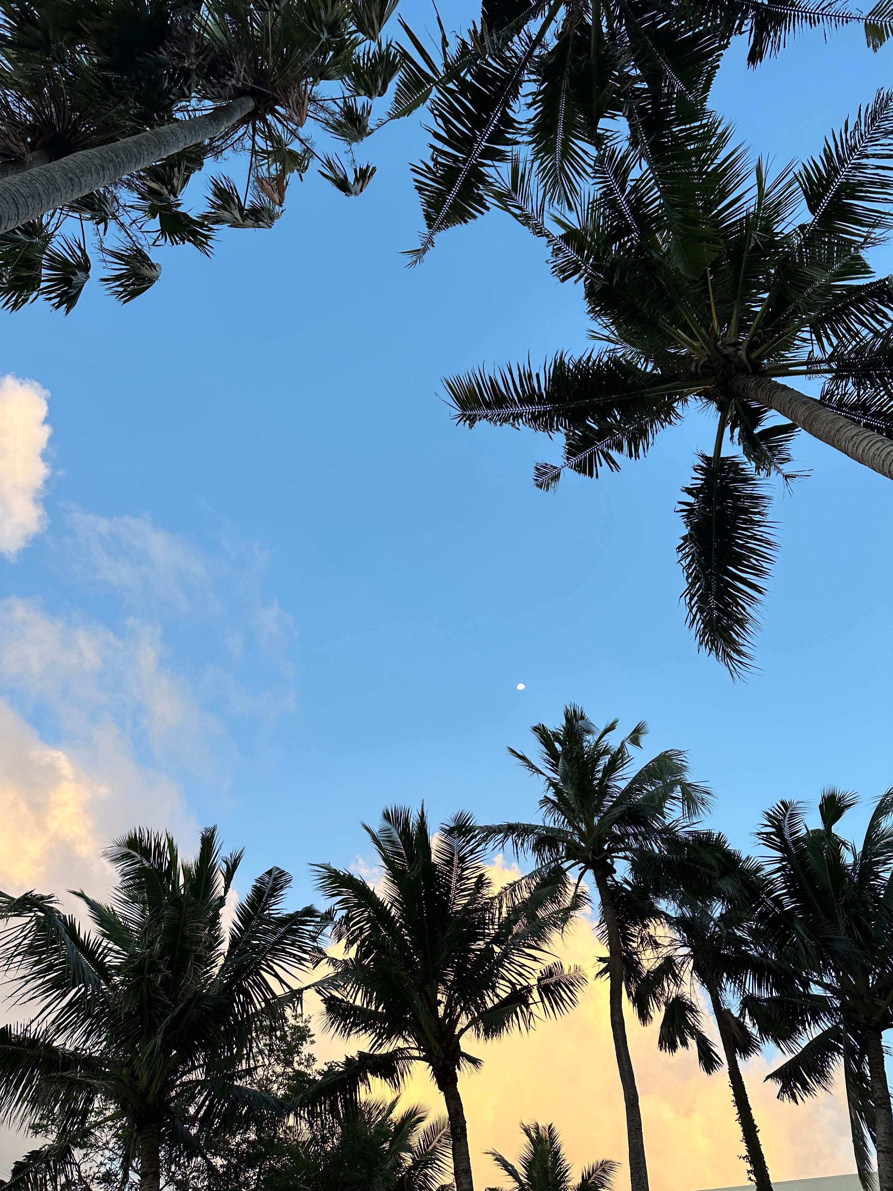 괌 여행지 사진