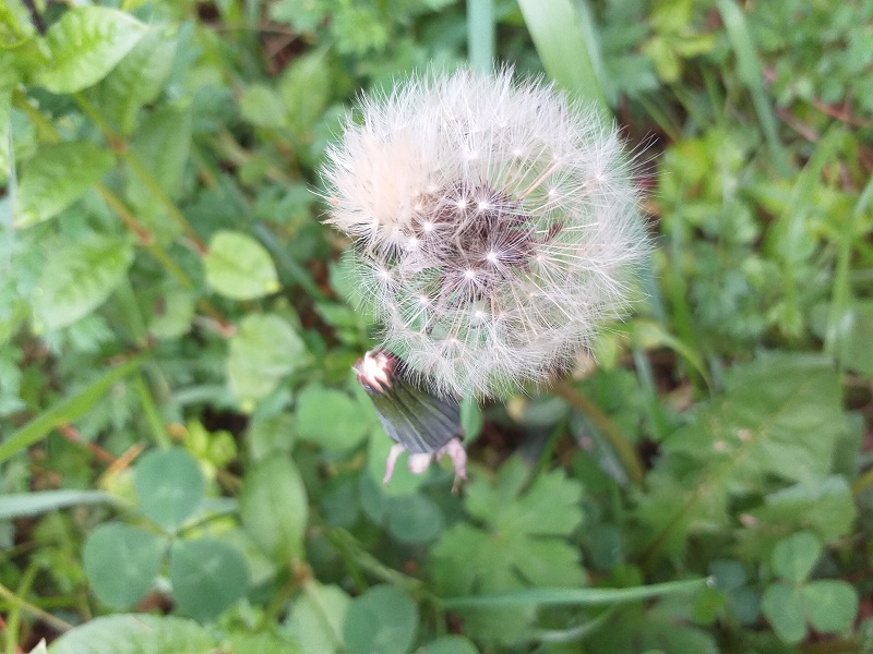 천왕산