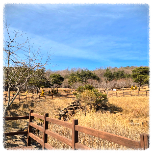 둔철생태체험숲