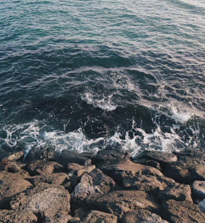 제주도 한달살기 숙소 임대료 숙소 추천 비용