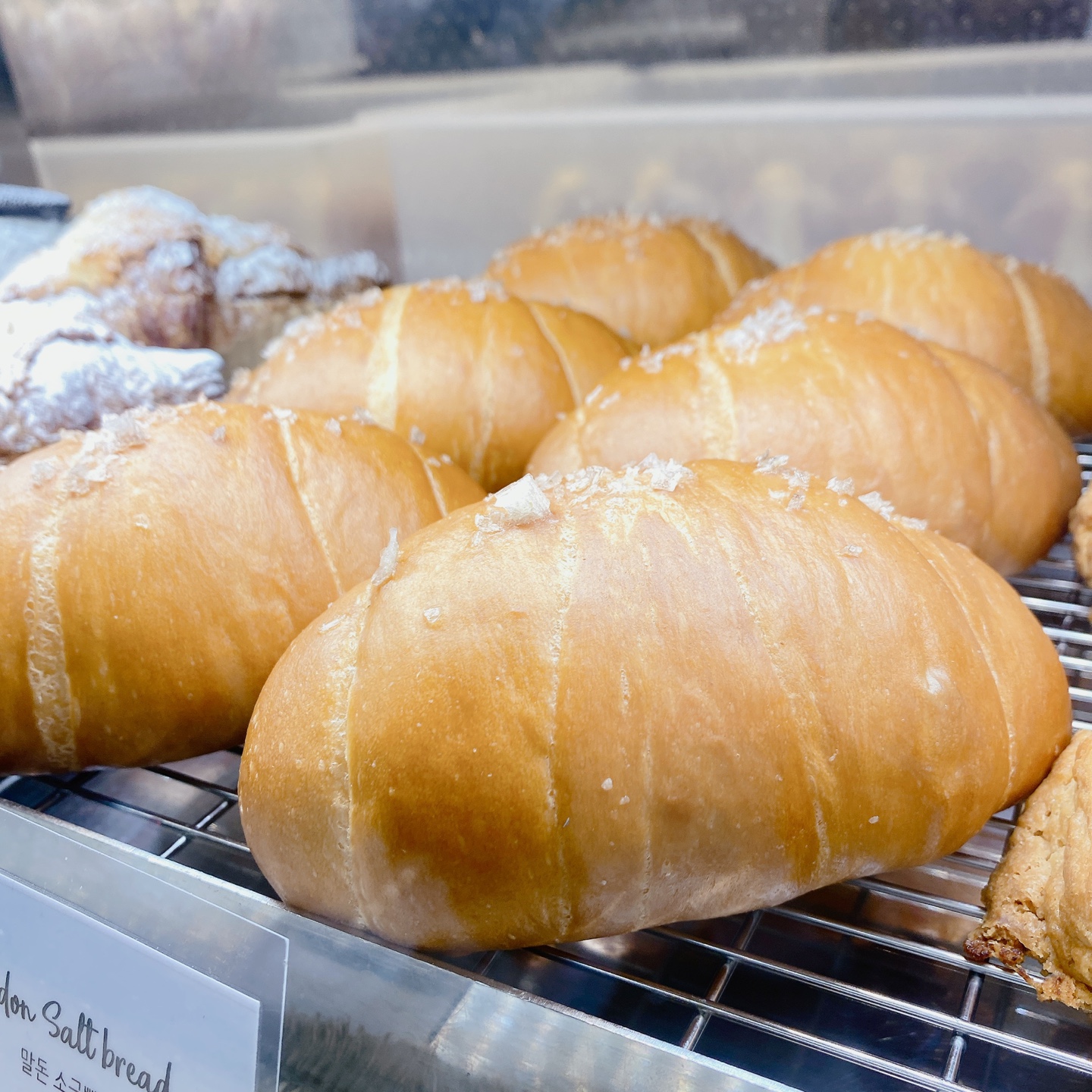 노티드 도넛 제주 애월 핫플레이스 우유크림 도넛 Knotted JEJU