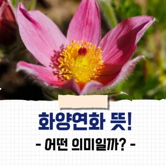 화양연화 의미 해석 한자 뜻 문화적 배경 정리_3