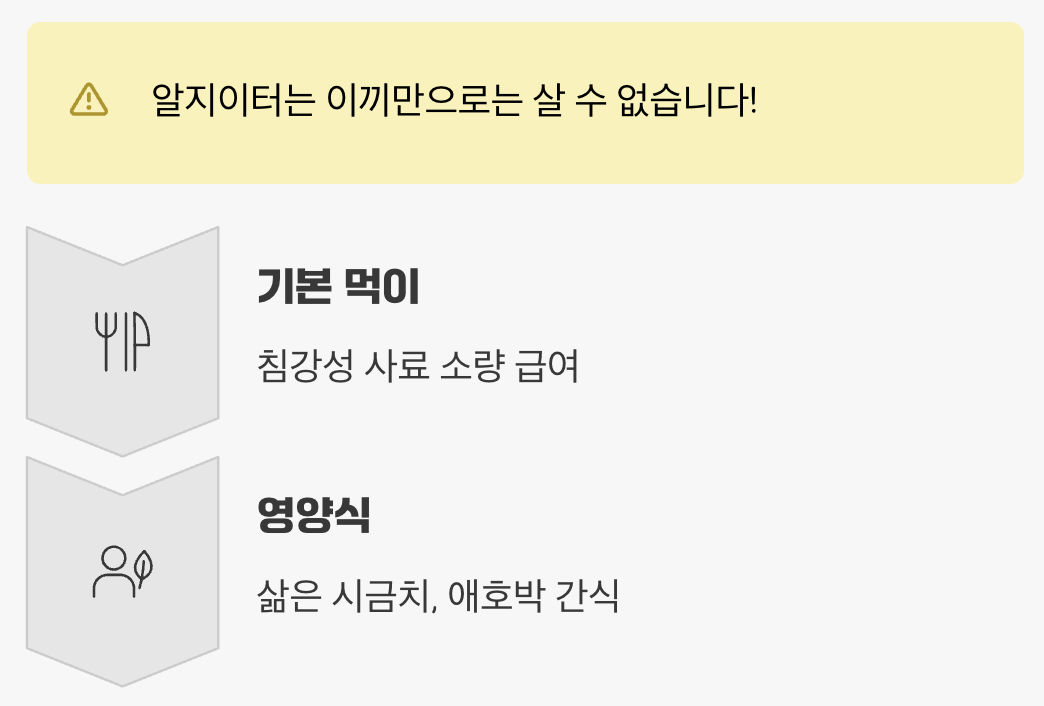 이끼 말고 뭘 먹나요?