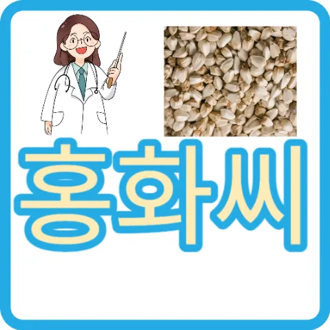 홍화씨 효능 홍화씨 가격 홍화씨 환 홍화씨 먹는법 홍화씨 분말
