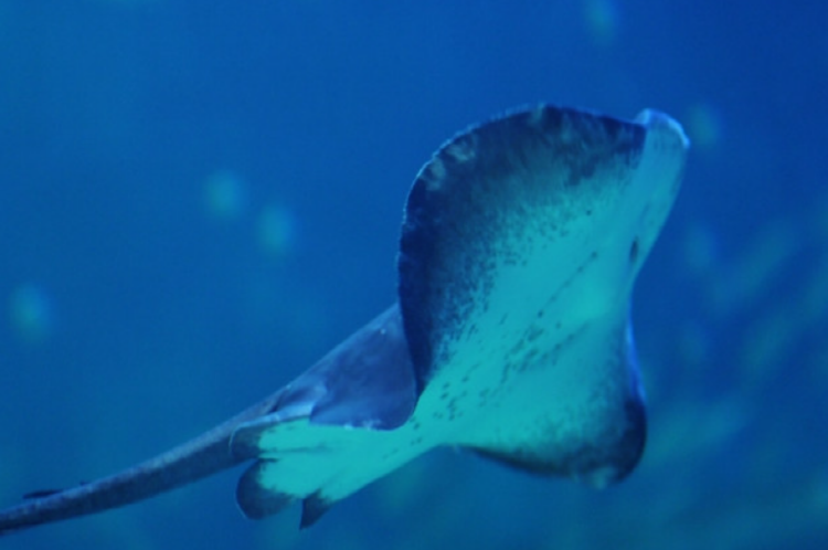 울진 아쿠아리움