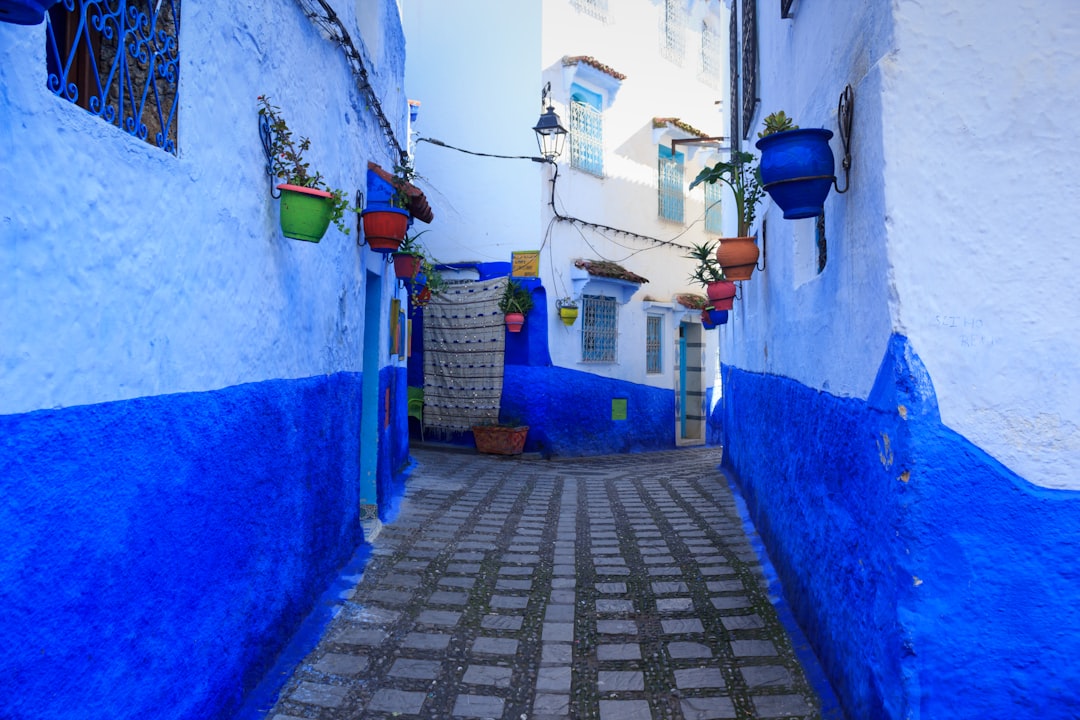 Blue House