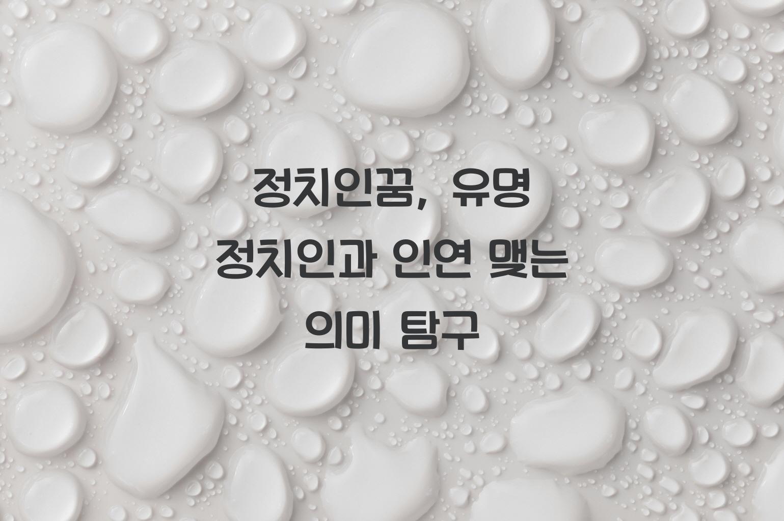 정치인꿈