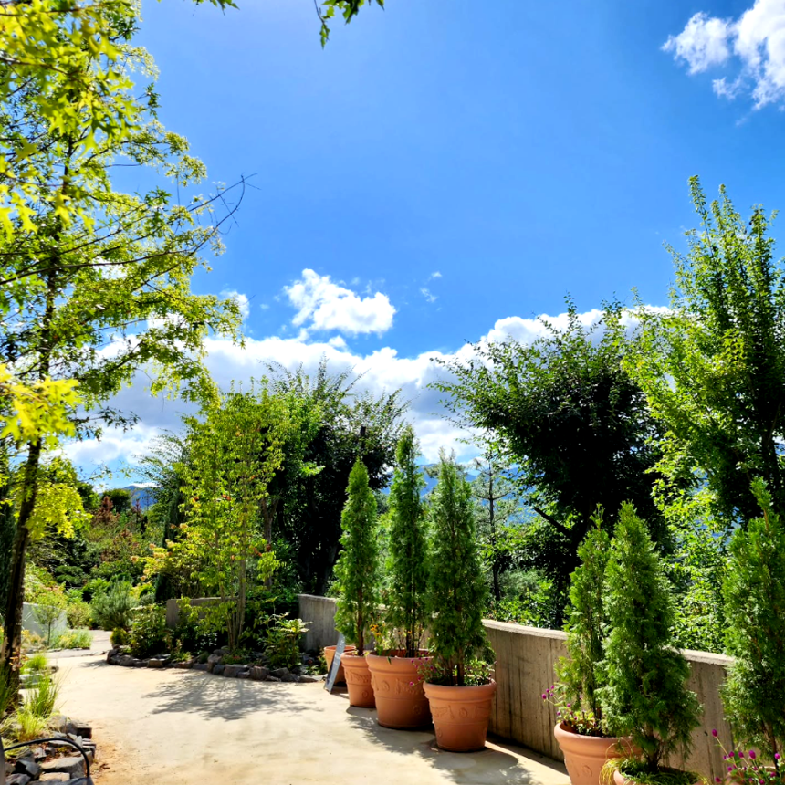 특색있고 아름다운 민간 정원 30선 추천 여행 - 29. 울주 온실리움