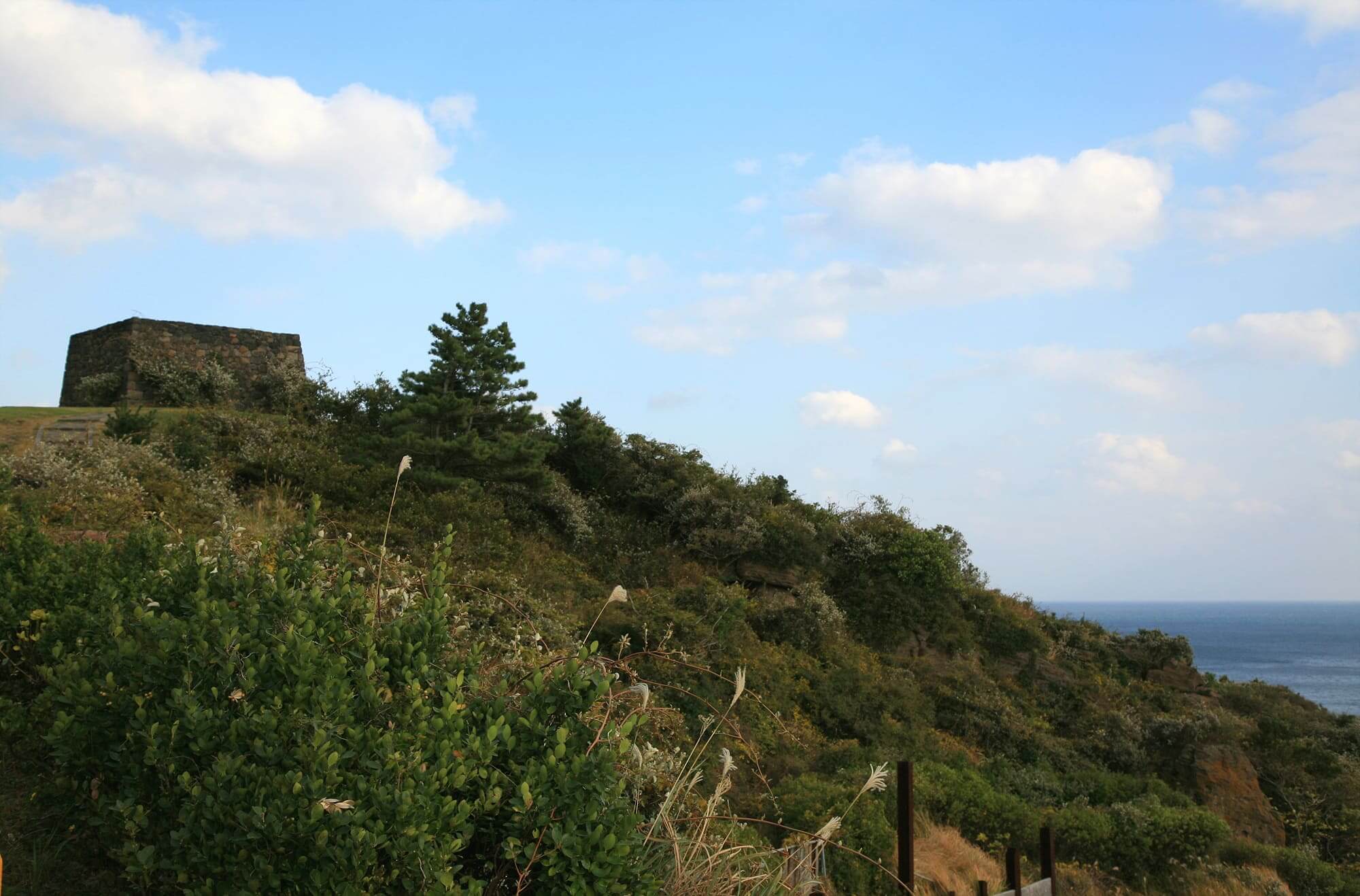 올레길 7코스 vs 10코스&amp;#44; 최고의 선택은? 🥾