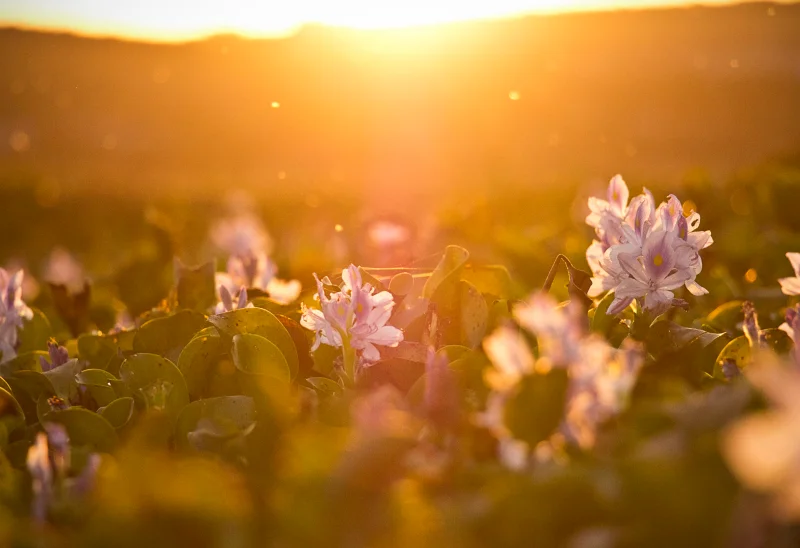 비타민D 처방 방방