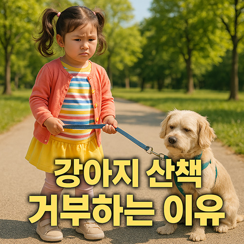 강아지-산책-거부하는-이유