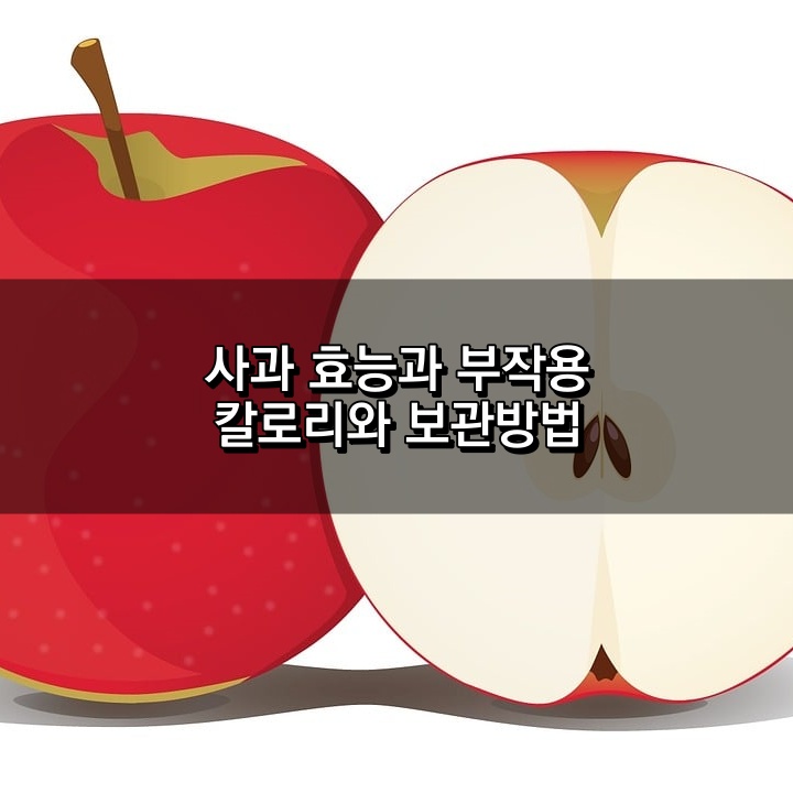 사과 효능과 부작용,칼로리