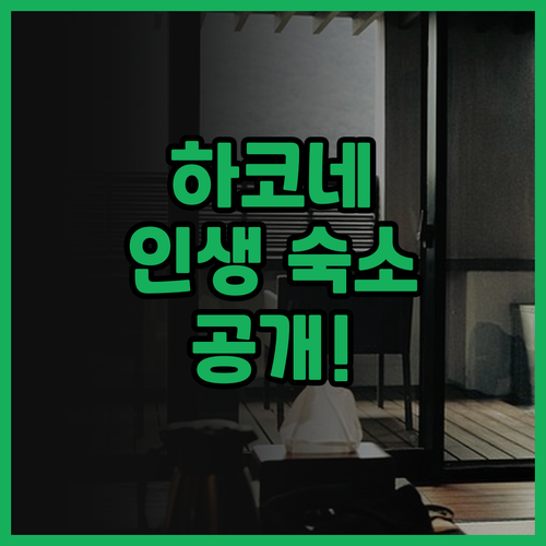 고라 하나오우기 추천 후기 전통 가이..