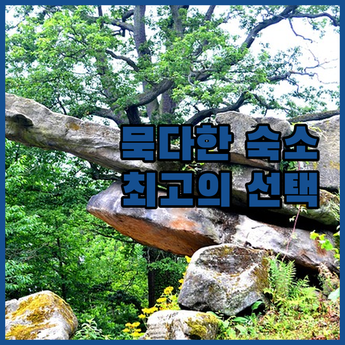 묵다한 최고의 호텔 탐험 나만의 완벽..