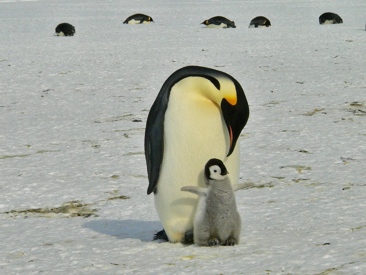 빙하가 녹으면 해수면만 오르는 게 아니다!
