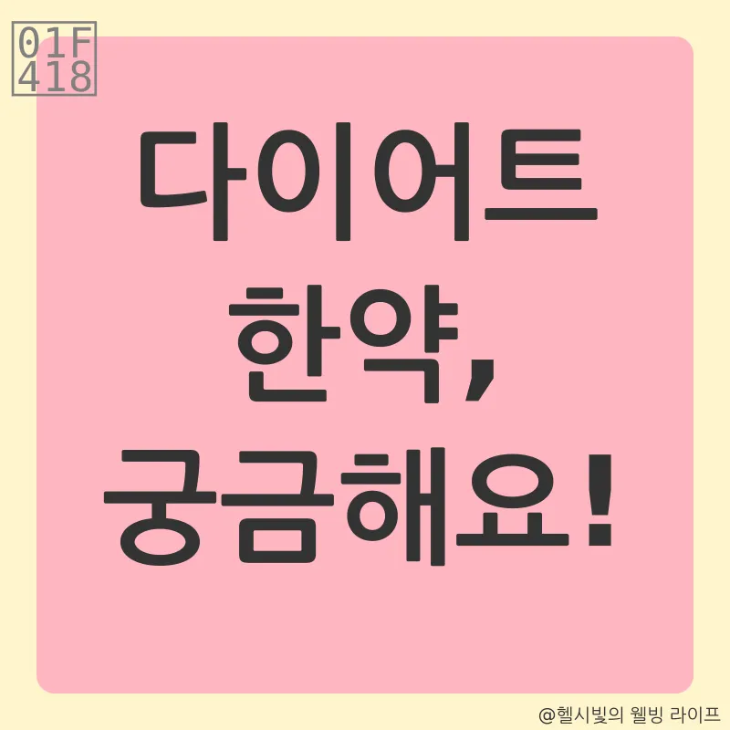 다이어트 한약_4