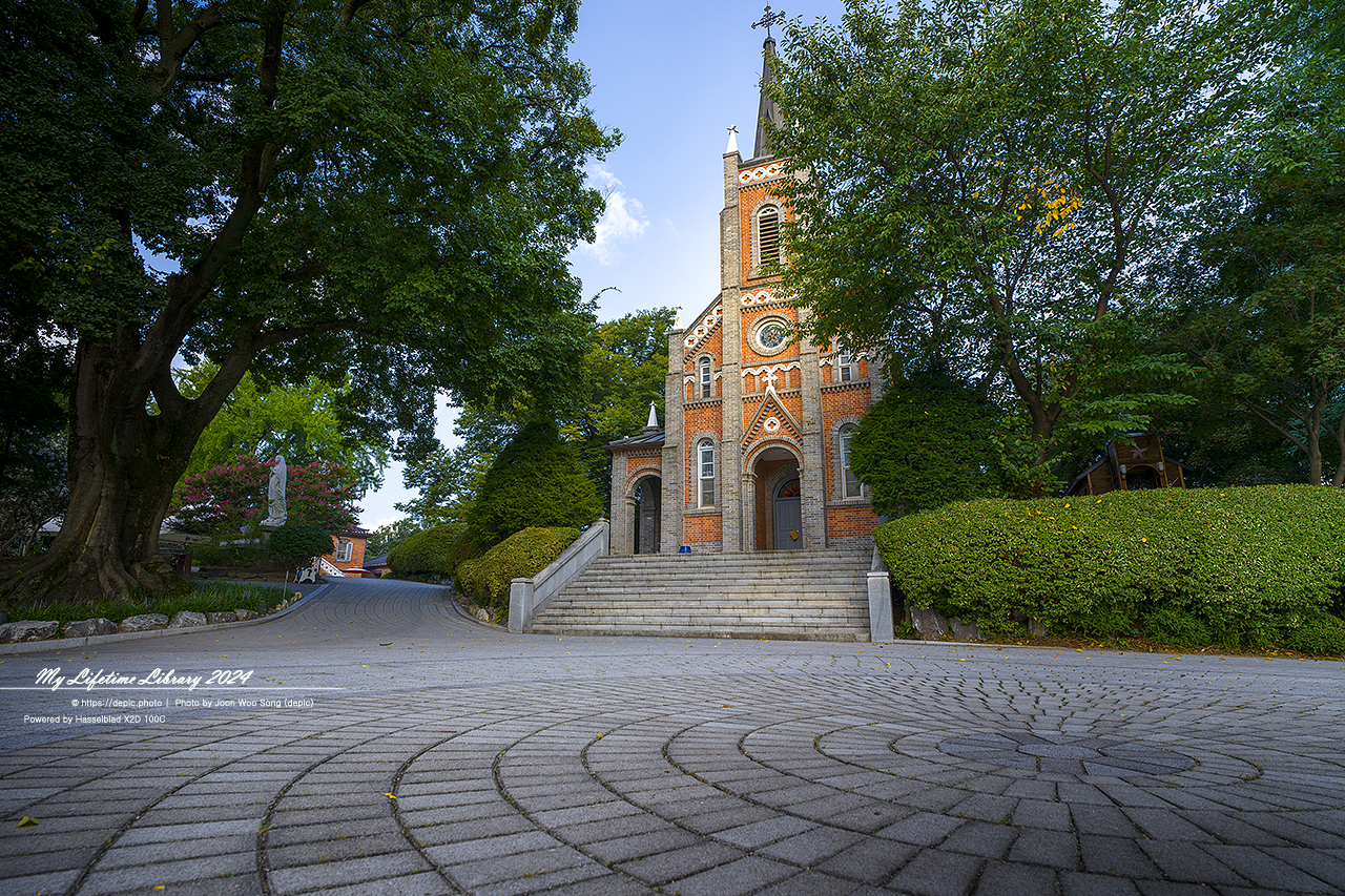 아산 공세리 공세리성당 가톨릭 성당