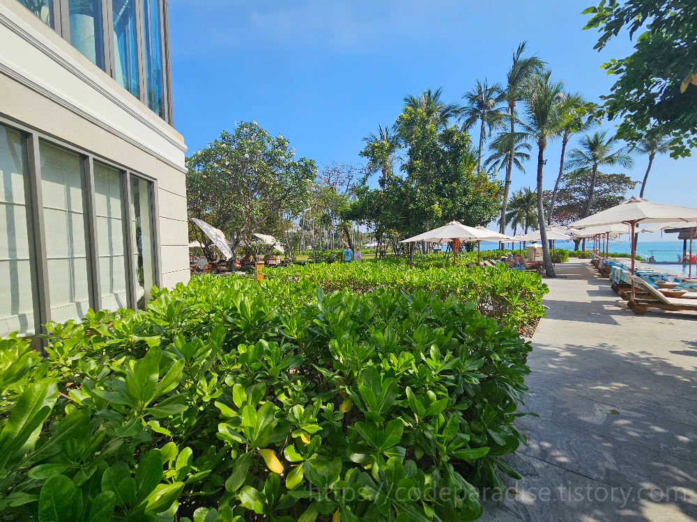 호텔 수영장 사진