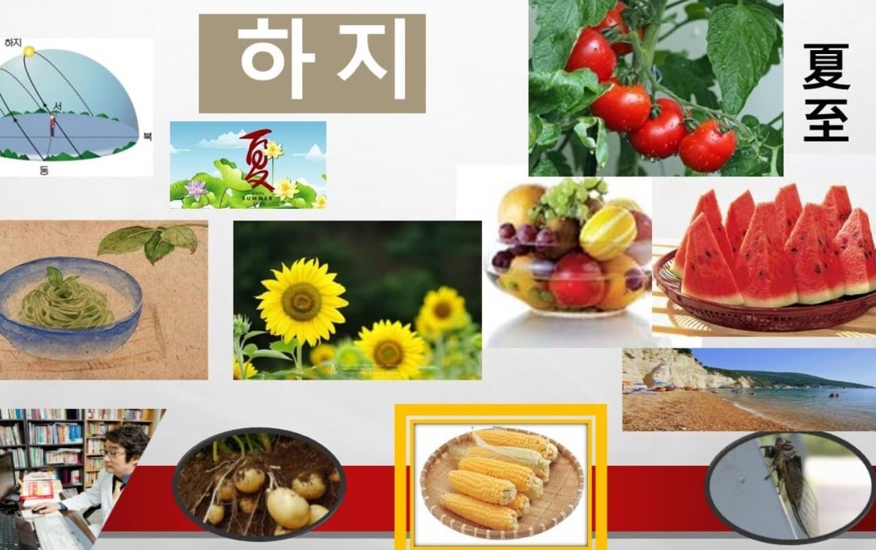 여름절기 하지