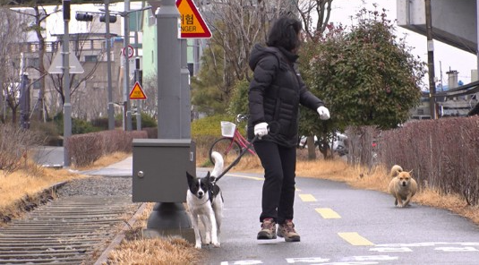 TV 동물농장 방울이