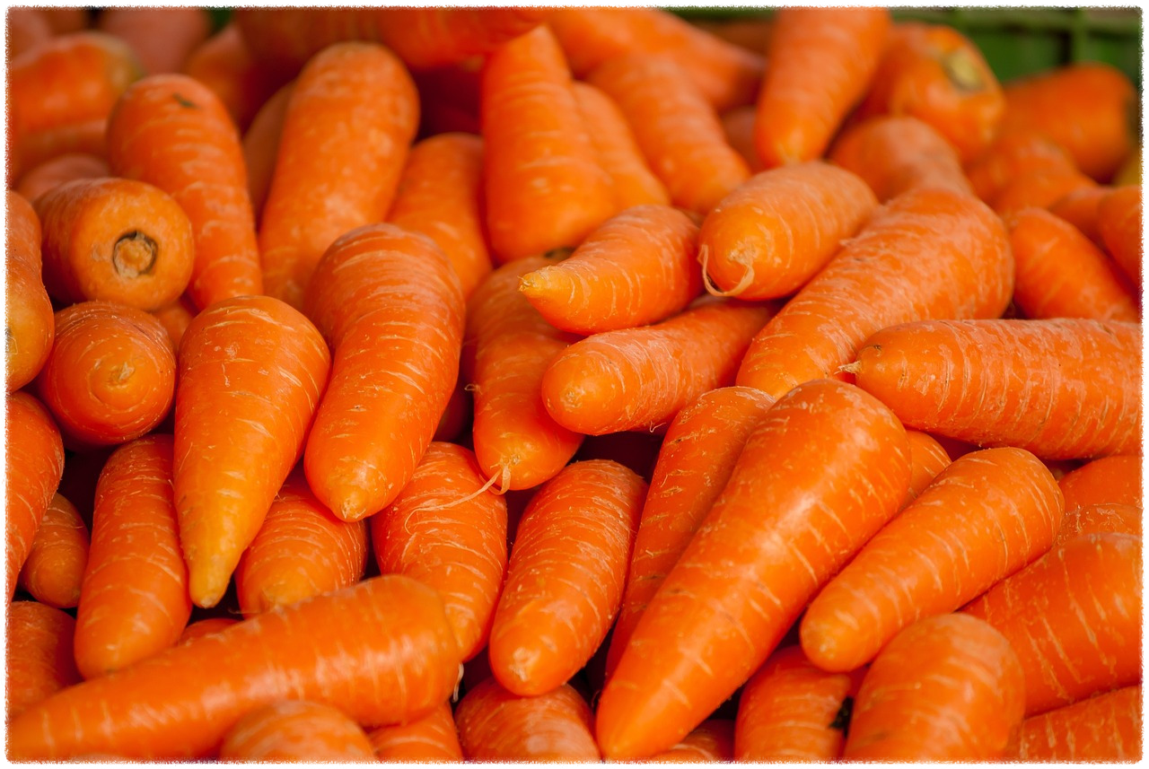 위고비는 누구에게 필요한가요?