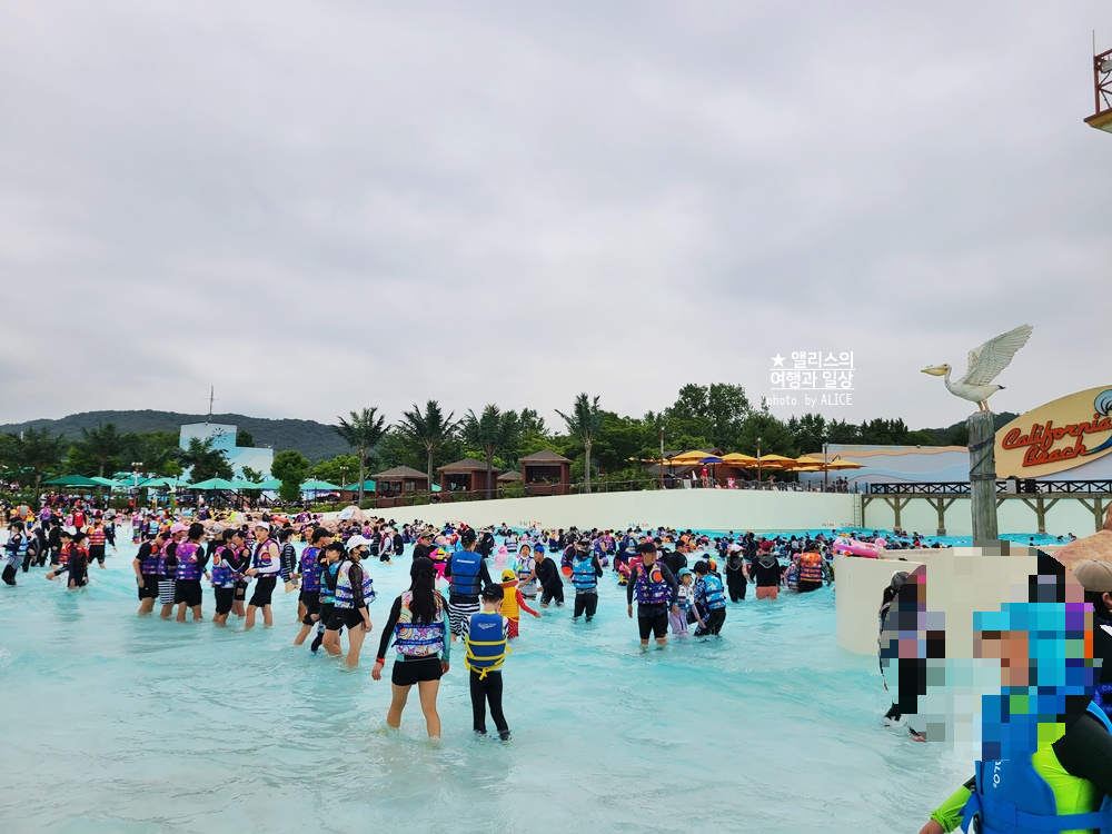 경주 워터파크 4군데 직접 가본 비교후기 블루원, 캘리포니아비치, 뽀로로 아쿠아빌리지, 오션플레이, 준비물 워터슬라이드
