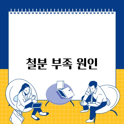 철분 부족 원인