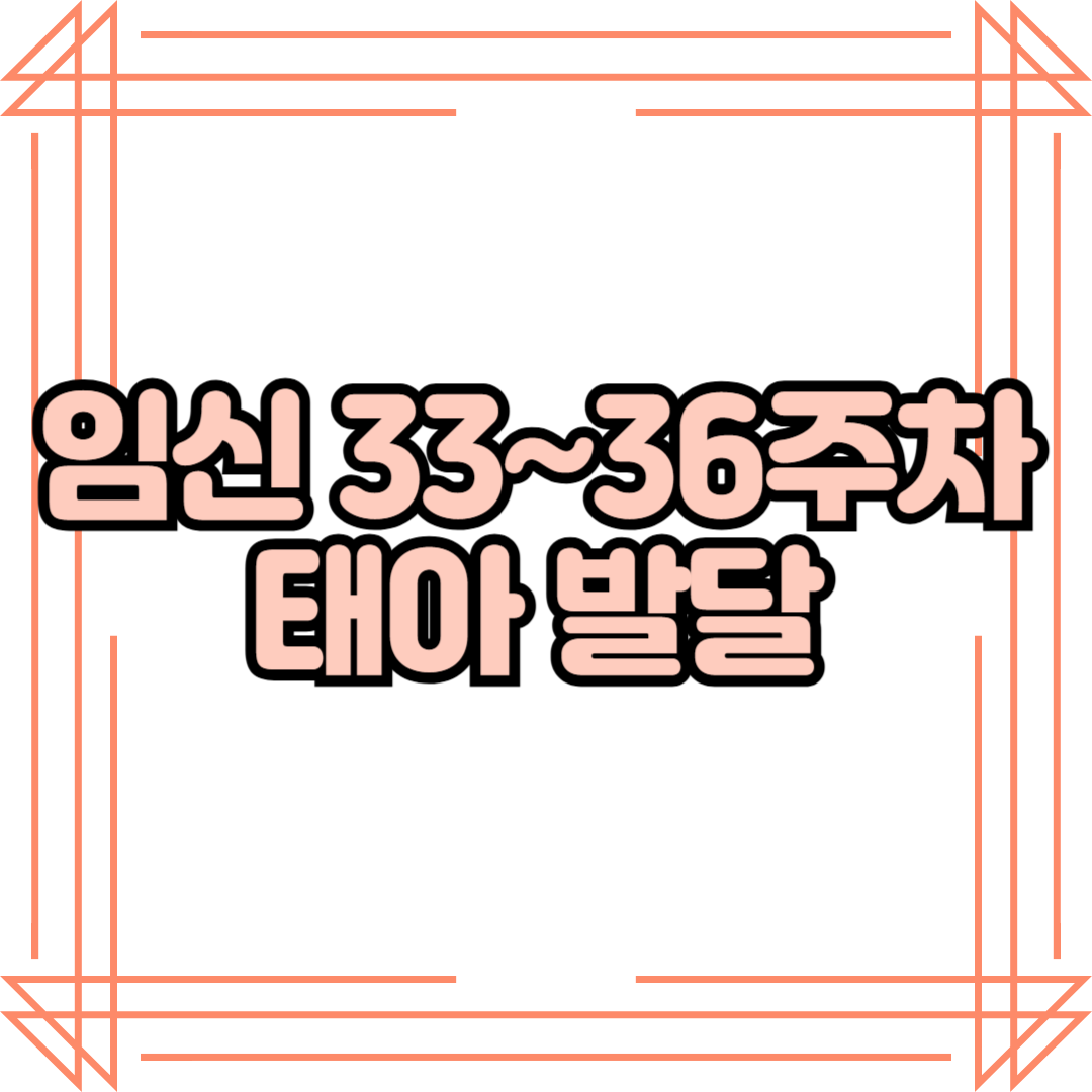 임신 33~36주차 태아 발달 – 출산 준비와 역아 상태 확인