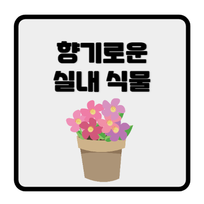 향기로운실내식물