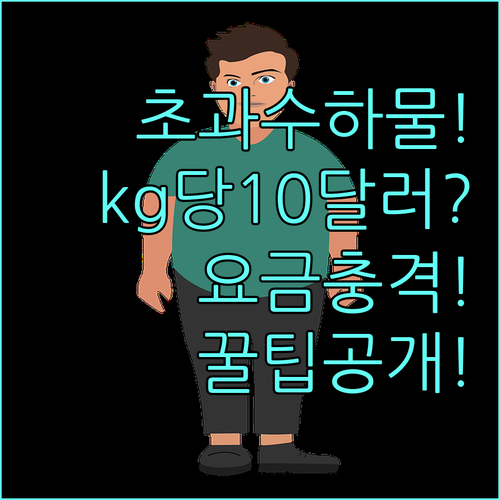 스카이 앙코르 항공 초과 수하물 요금..