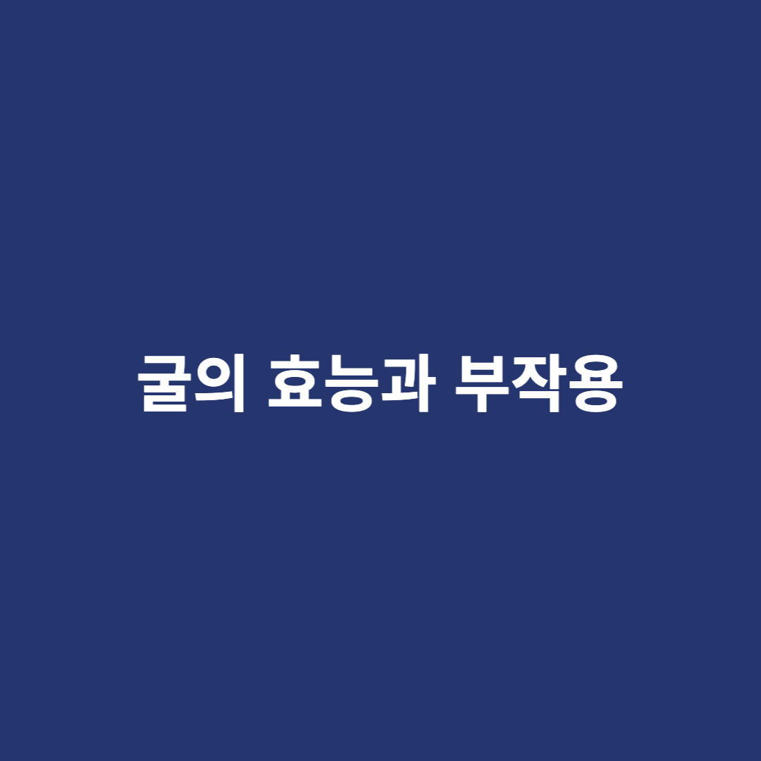 굴의 효능과 부작용