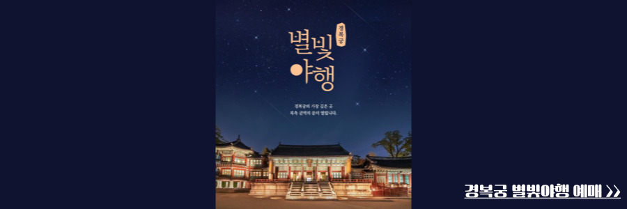 경복궁 별빛야행