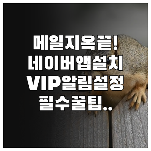 네이버 메일 앱 설치와 VIP 알림 ..