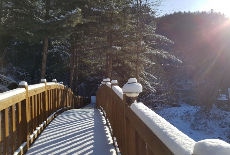 칼봉산 자연휴양림