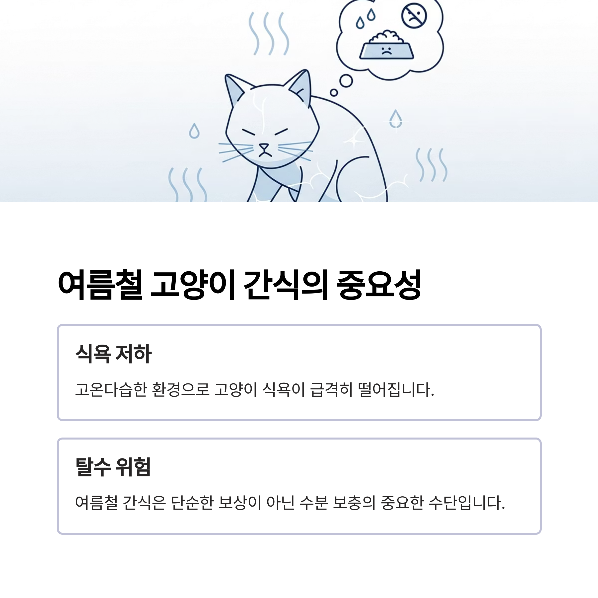 여름철 고양이 간식의 중요성