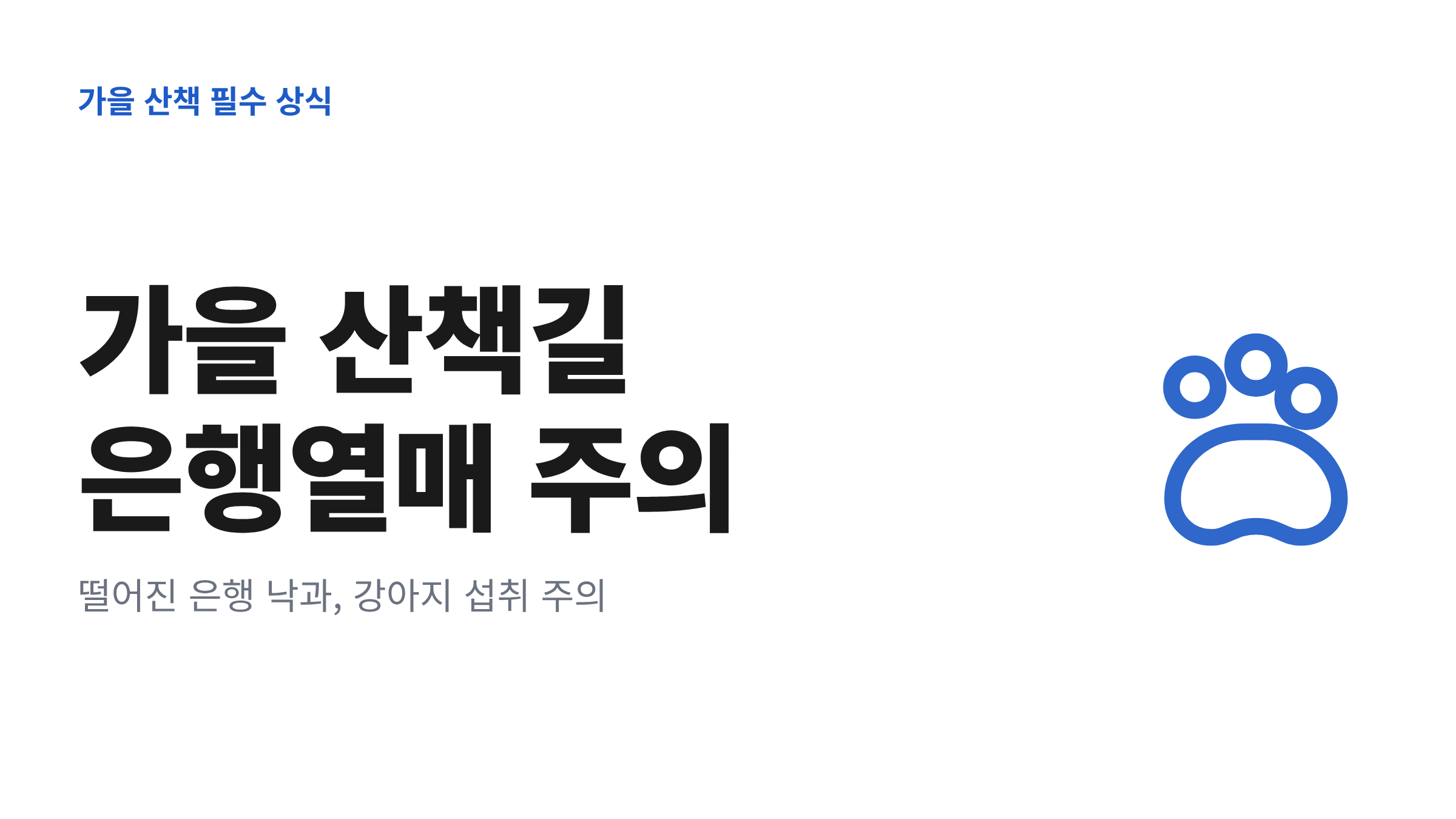 가을 산책길 은행열매 섭취 주의를 알리는 대표 이미지