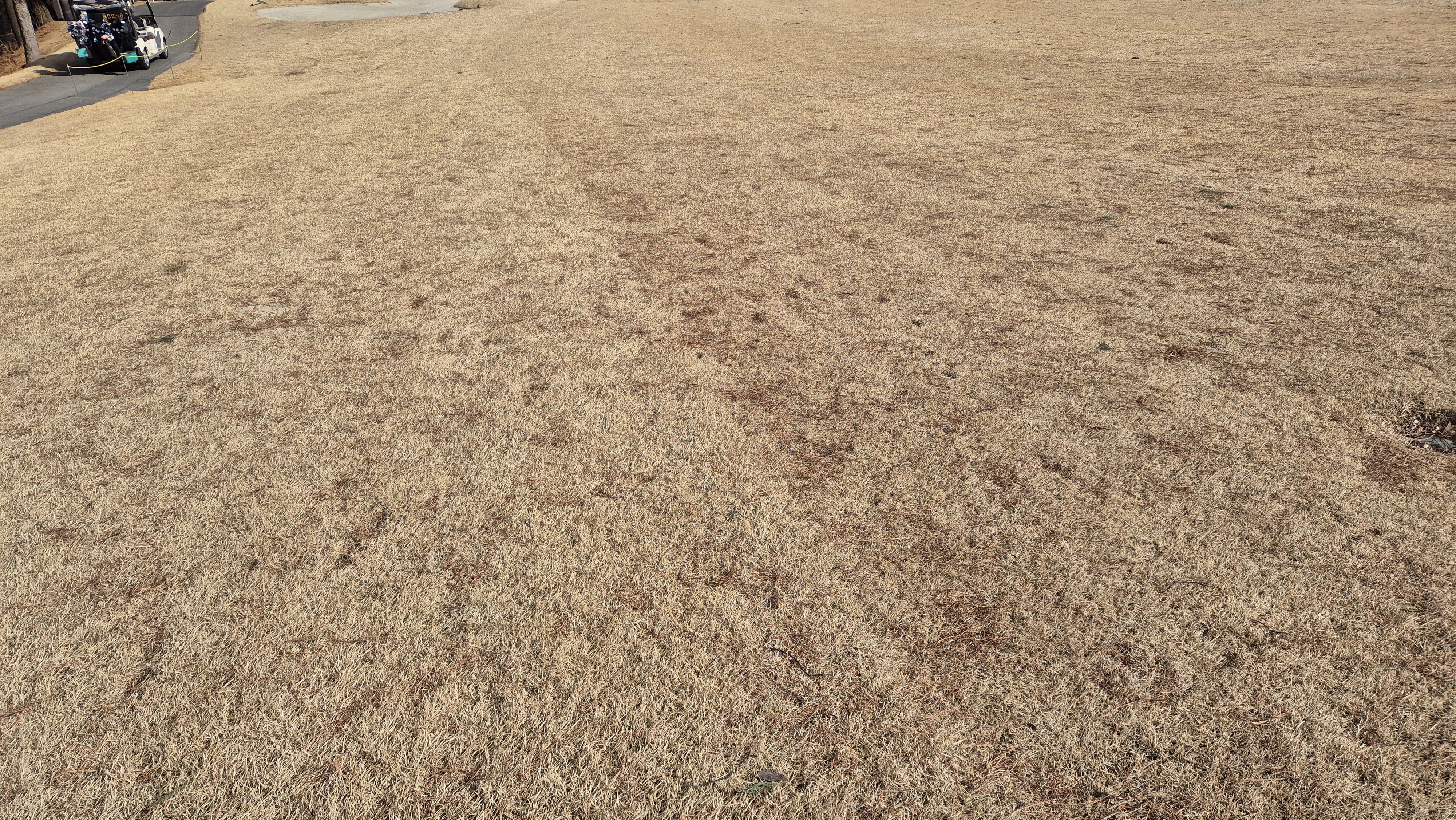 코리아cc 크리크-레이크 코스 관리 상태