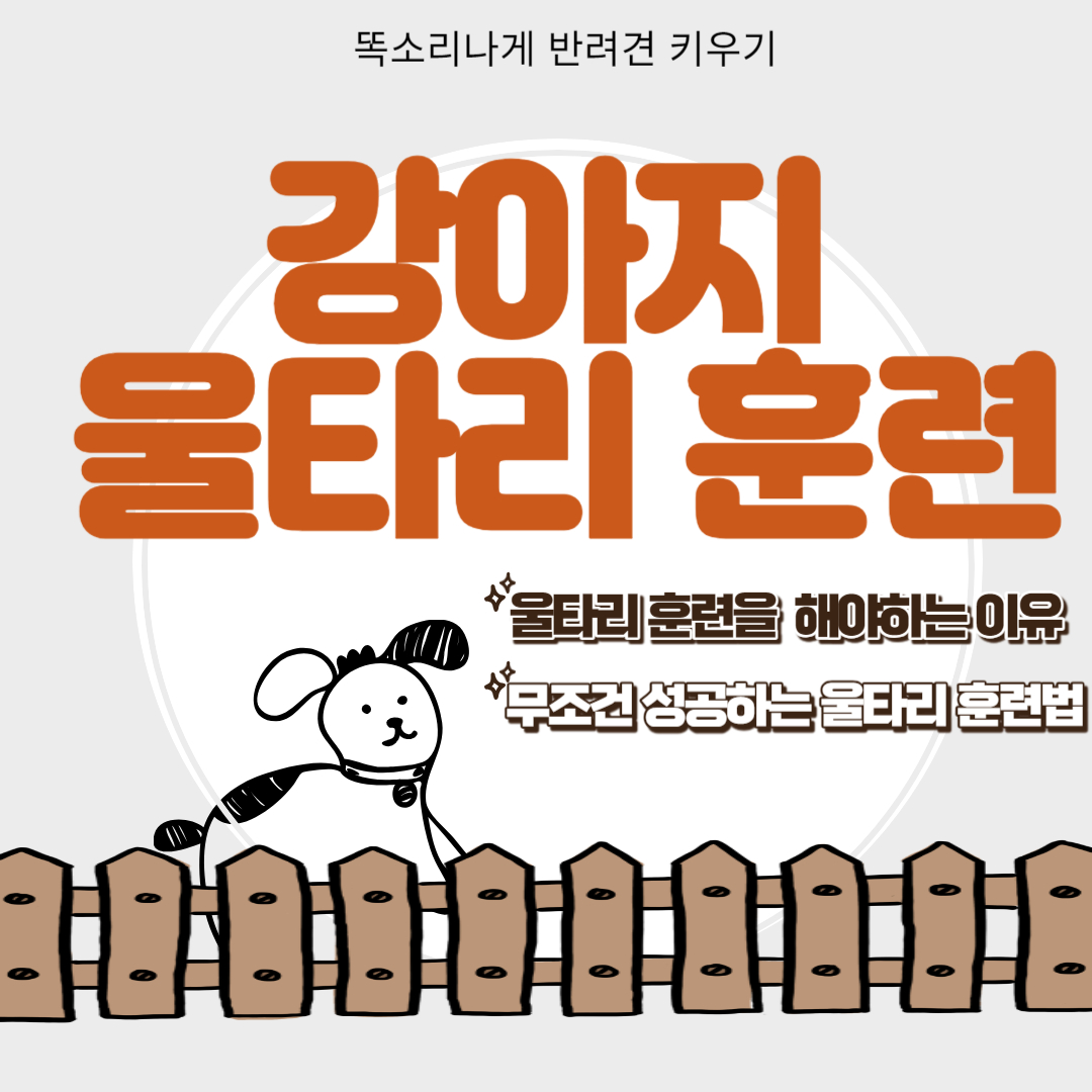 강아지 울타리훈련 성공법 노하우