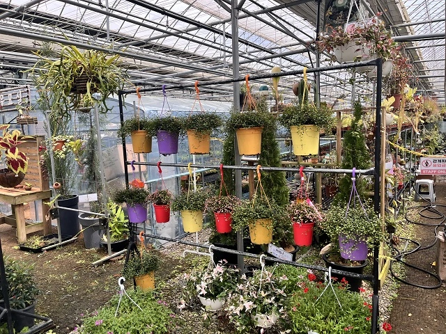 조인폴리아-쇼핑-센터