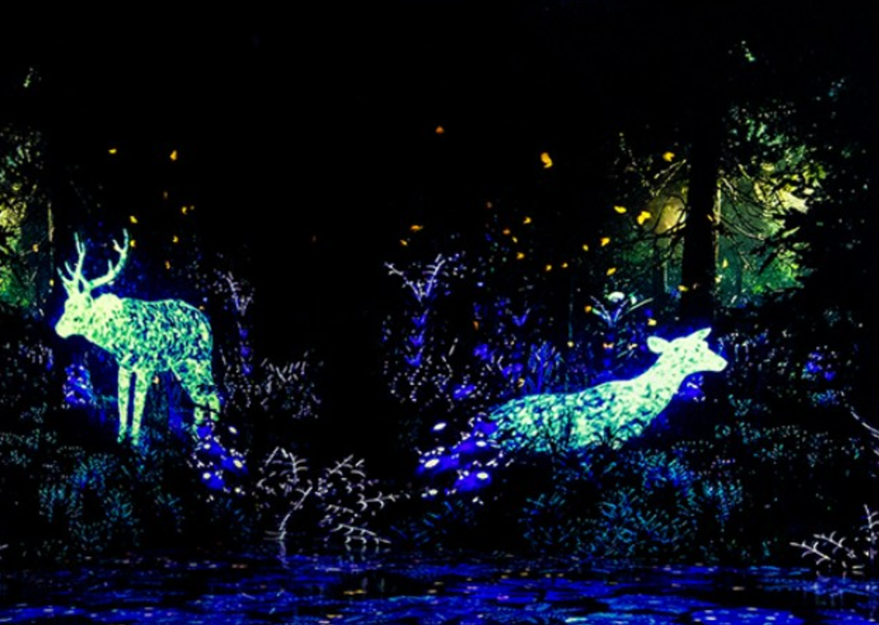 인피니티아트 빛의 산책