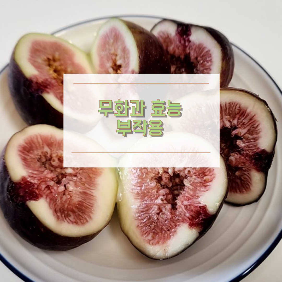 무화과 효능 부작용