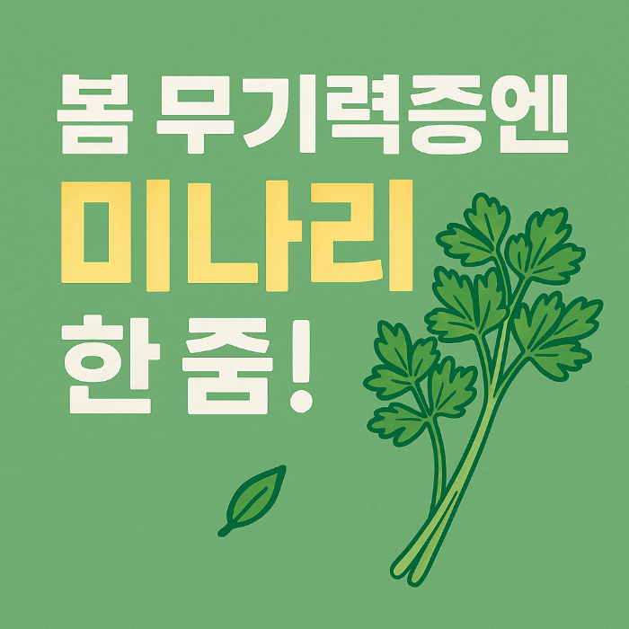 미나리 효능 총정리! 지금 먹어야 할 봄 건강식