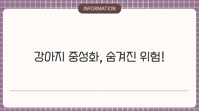 강아지 중성화 수술 후 관리